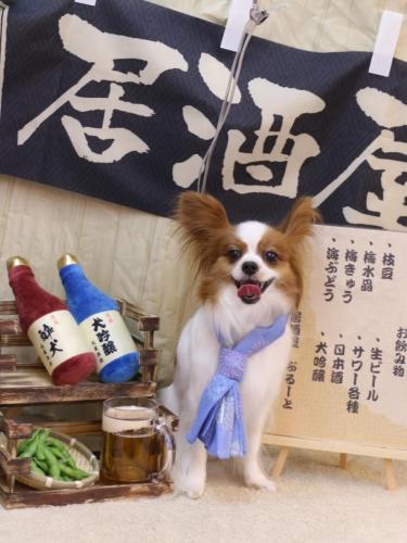 20240609ぎゅうちゃん